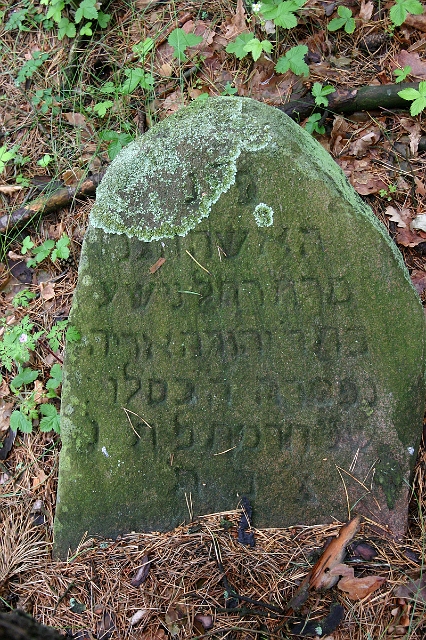 1907 IMG_0415.jpg - Here lies the modest woman, Rachel Nisheh, the daughter of Yehuda Aryeh. Died 5th of Kislev 5668 -  Nov. 11, 1907.  (IMG_0415.jpg)